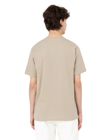 T-shirt Mapleton Uomo Sabbia DK0A4XDBBEIGE DICKIES
