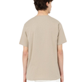 T-shirt Mapleton Uomo Sabbia DK0A4XDBBEIGE DICKIES