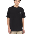 Tshirt Summerdale Uomo 