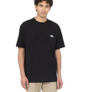 Tshirt Summerdale Uomo 