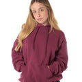 Felpa Classic Cappuccio Unisex Grigia 