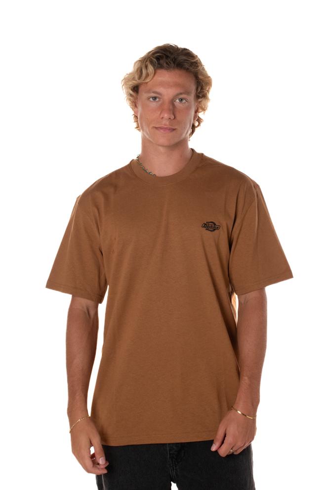 Tshirt Summerdale Uomo DK0A4YAIMARRONE DICKIES