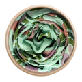 foulard de lempicka unisex 