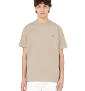T-shirt Mapleton Uomo Sabbia DK0A4XDBBEIGE DICKIES
