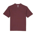 Tshirt Plentywood Uomo DK0A866BROSSO DICKIES