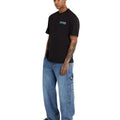 Jeans Loose Painter Uomo DK0A4Z6RCBLU DICKIES
