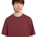Tshirt Plentywood Uomo DK0A866BROSSO DICKIES