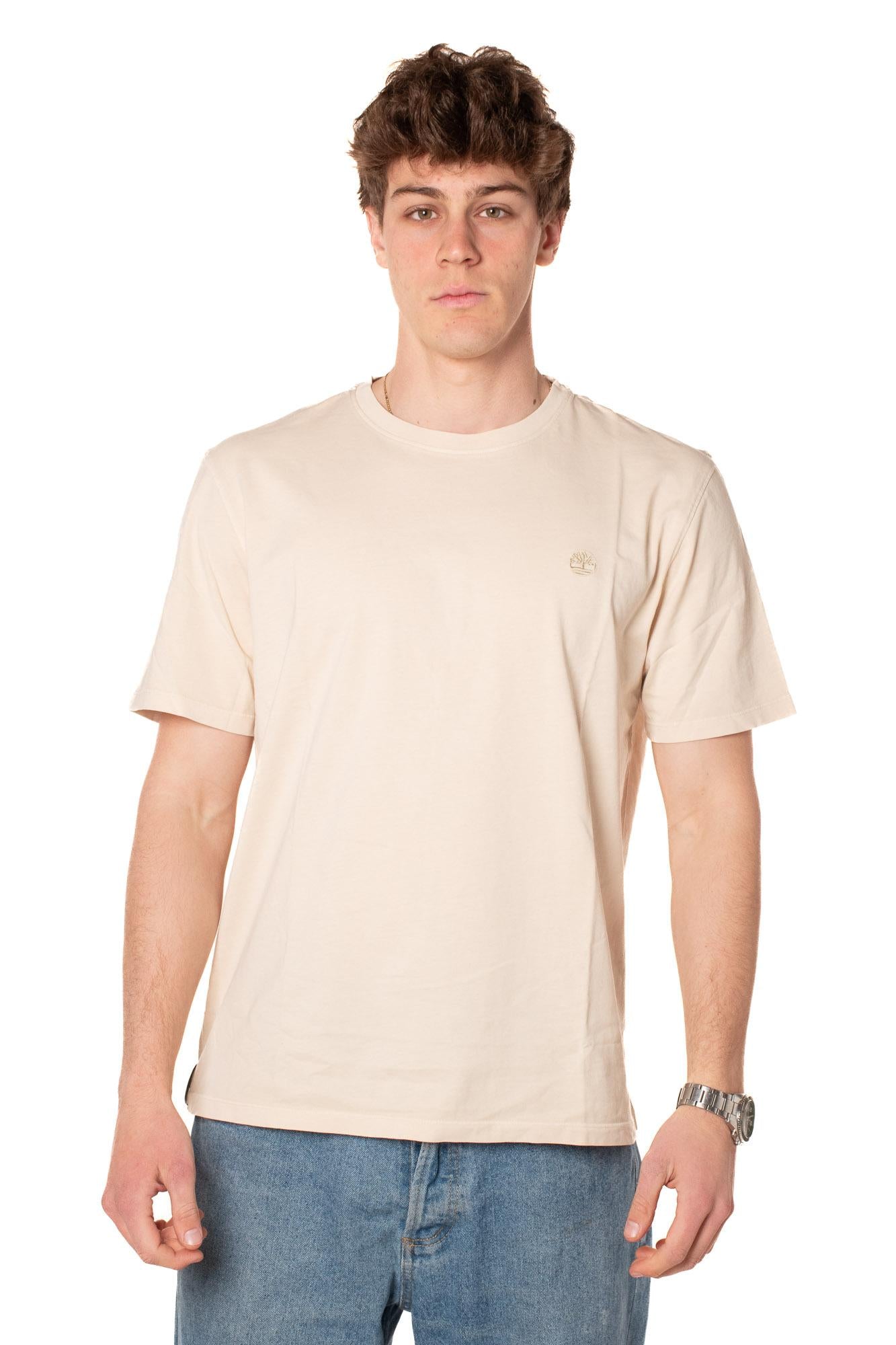Tshirt Authentic Uomo 