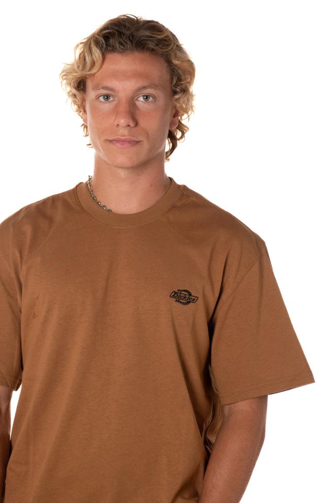 Tshirt Summerdale Uomo DK0A4YAIMARRONE DICKIES